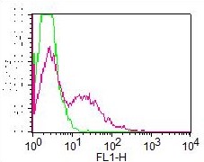 Monoclonal Antibody to CD24 (Clone: ML5) FITC Conjugated